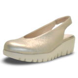 WONDERS - C-33152-SP26 available in 6 colours!