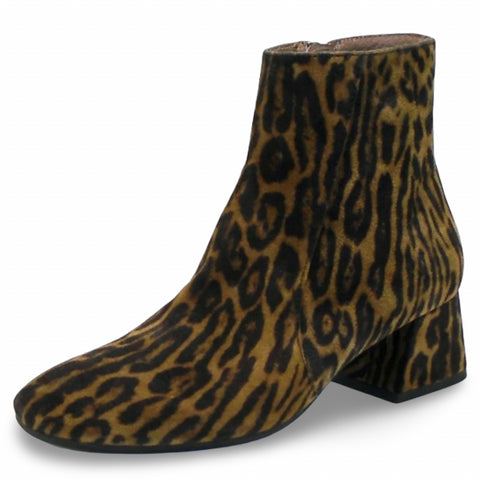 WONDERS - G-5504-FW25