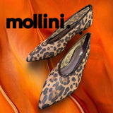 MOLLINI - CIPPESH*-SP26 available in 2 colours!