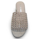 Django & Juliette - TROPICS-SP26